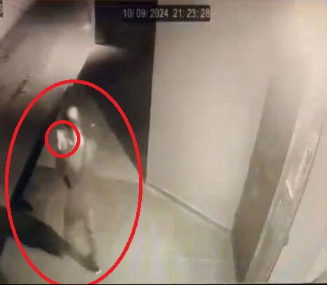 12 bin 500 dolarlık vurgun suya düştü! Sevgili tuzağı zildeki parmak iziyle tespit edildi - 2. Resim