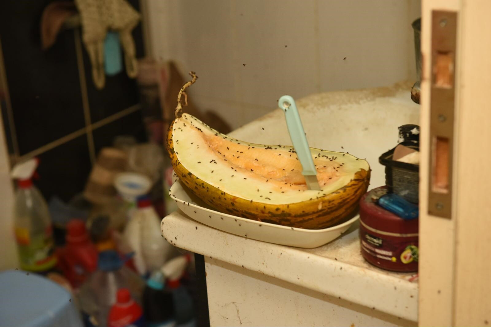 70 metrekarelik ev mahalleliye kabusu yaşattı - 4. Resim