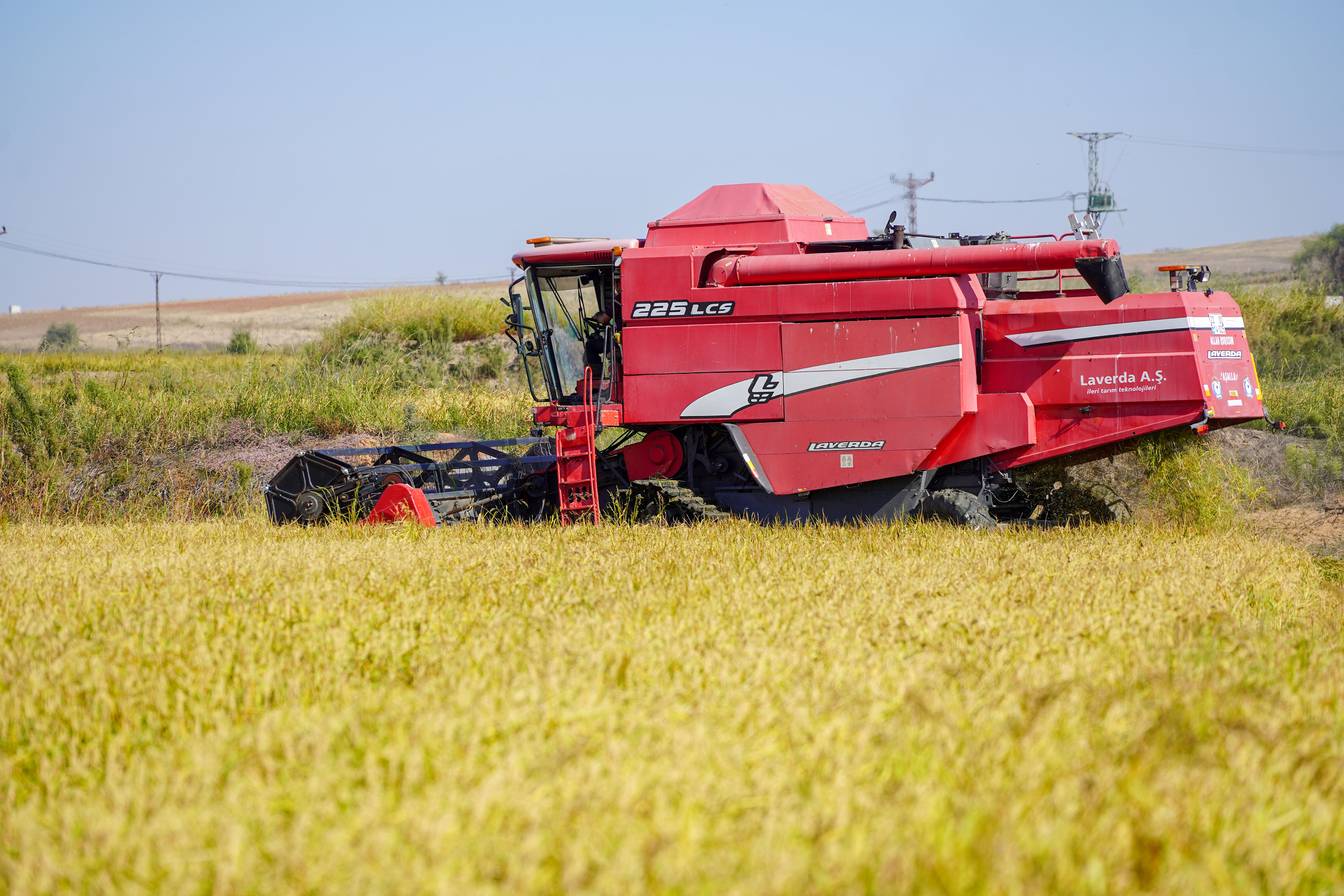 Beyaz altında hasat sürüyor! Kuraklık verimi düşürdü Beyaz altında hasat sürüyor - 1. Resim