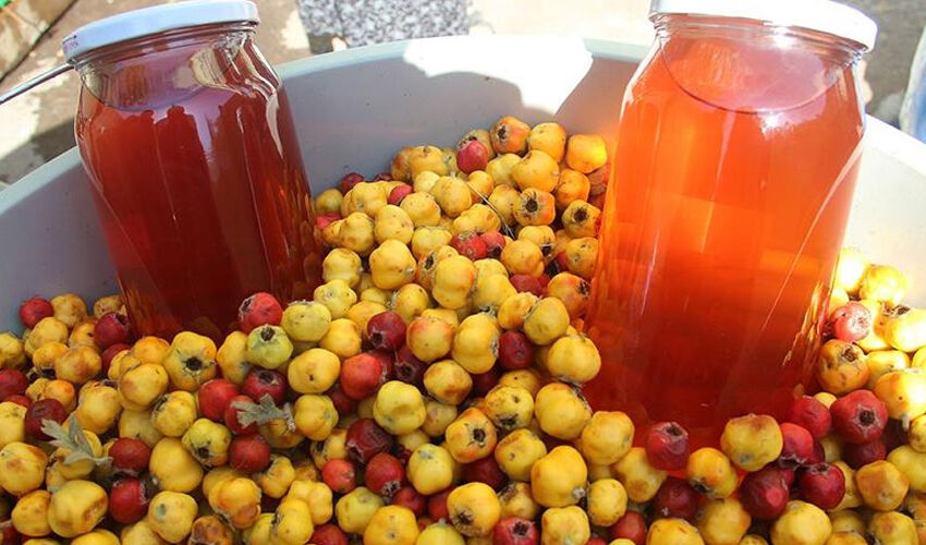 Dalından tek tek toplanıyor, kilosu 75 lira... Kalbi tıkır tıkır çalıştırıyor - 4. Resim