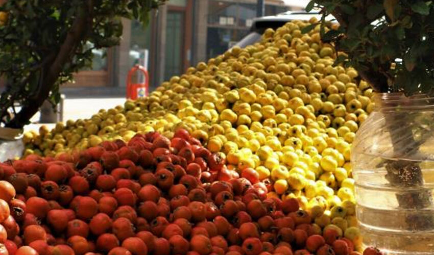 Dalından tek tek toplanıyor, kilosu 75 lira... Kalbi tıkır tıkır çalıştırıyor - 1. Resim