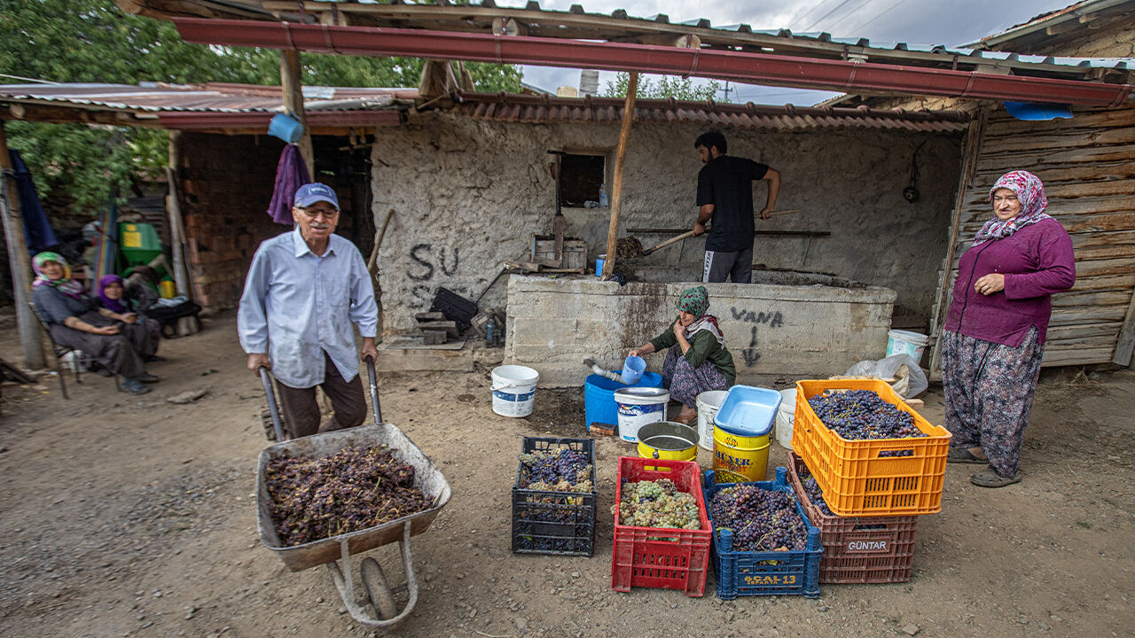 Konya'da üzüm pekmezi asırlardır bu yöntemlerle yapılıyor - 1. Resim