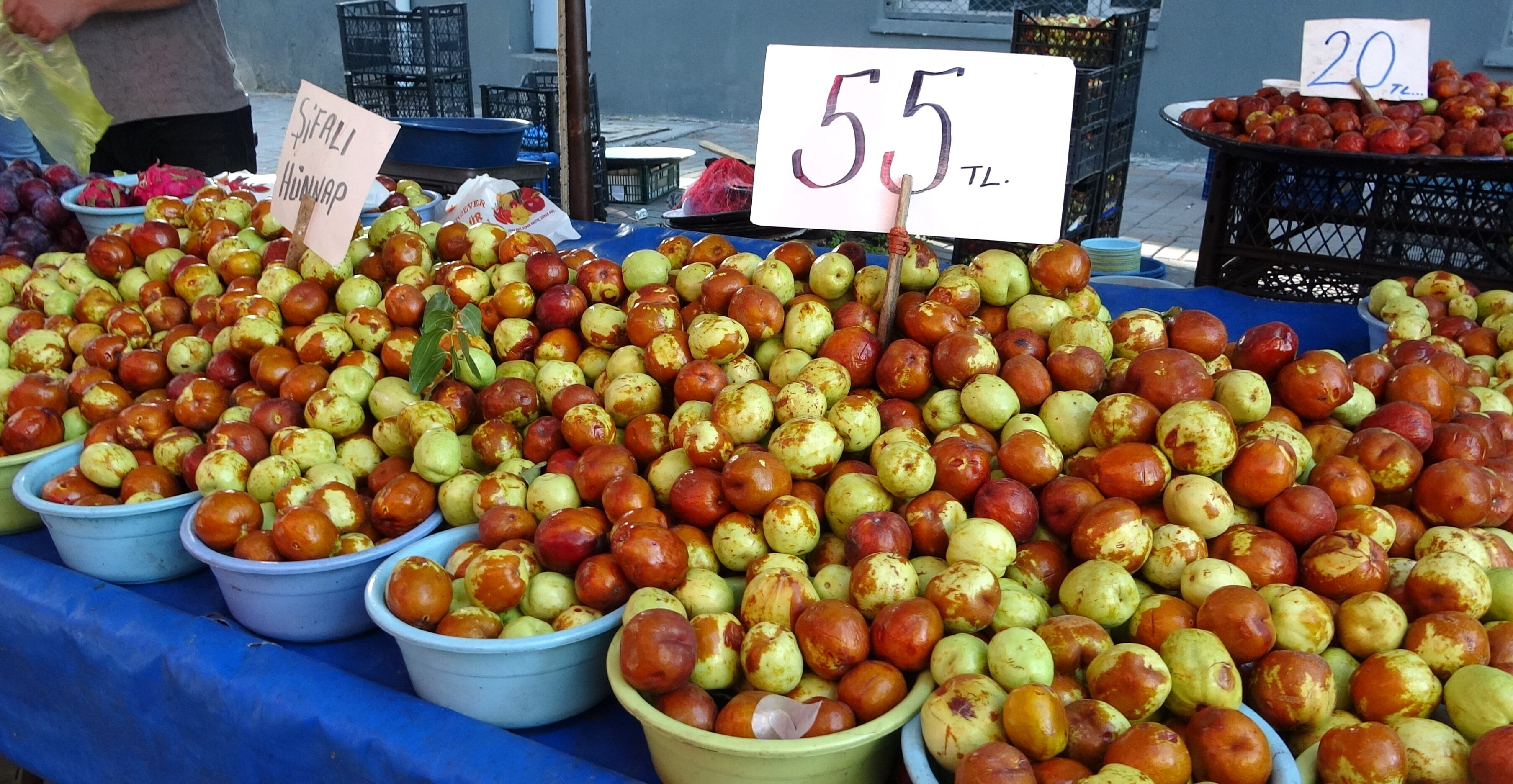 Şifa deposu! Diyabet, karaciğer ve kanser türlerinde iyileşmesine birebir... Kilosu 50 TL'den tezgahlarda.... - 1. Resim