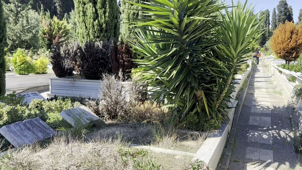 Karabulut ailesinin avukatı açıkladı: Mezardan Cem Garipoğlu çıkmazsa ne olacak? Karabulut ailesinin avukatı açıkladı: Mezardan Cem Garipoğlu çıkmazsa ne olacak? - 4. Resim