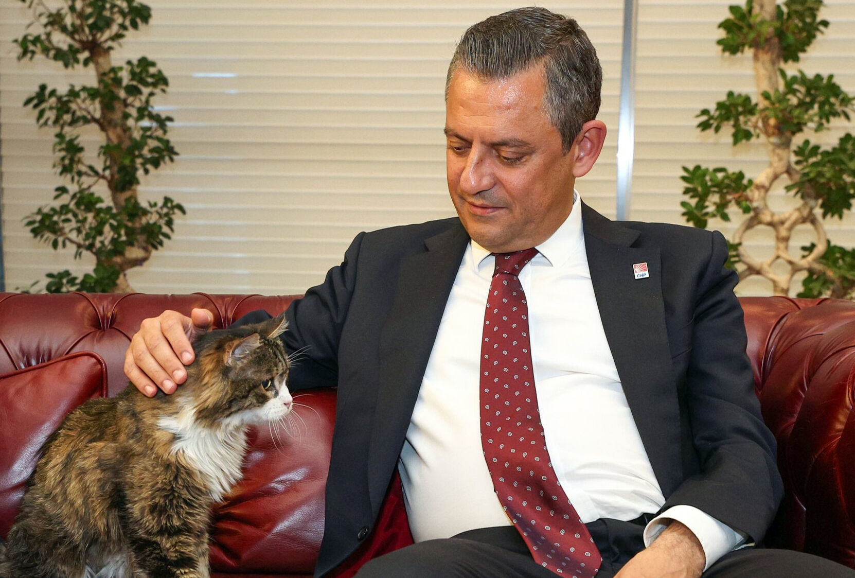 CHP'nin kedisi Şero öldü, törene Özgür Özel de katıldı CHP'nin kedisi Şero öldü, törene Özgür Özel de katıldı - 1. Resim