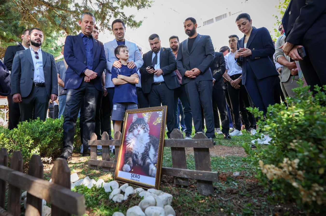 CHP'nin kedisi Şero öldü, törene Özgür Özel de katıldı CHP'nin kedisi Şero öldü, törene Özgür Özel de katıldı - 2. Resim