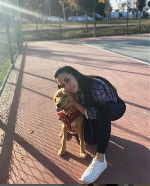 Tekirdağ'da köpeğini gezdiren kadına sokak köpekleri saldırdı! Artık herkes sorumluluğunu alsın Tekirdağ'da köpeğini gezdiren kadına sokak köpekleri saldırdı! Artık herkes sorumluluğunu alsın - 1. Resim