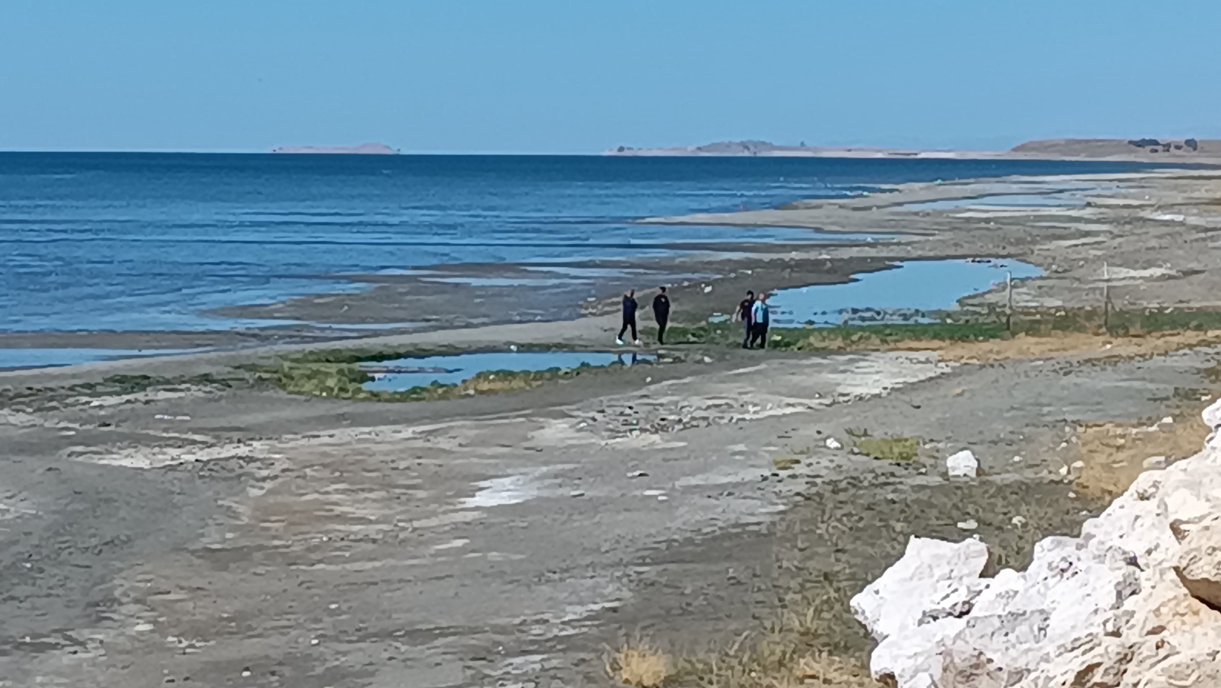 Gören duyan haber versin! Rojin Kabaiş'ten iki gündür haber yok - 1. Resim