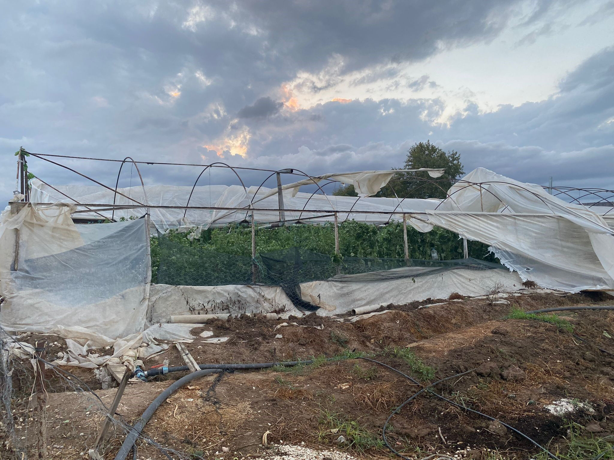 Antalya'da hortum faciası! Ev ve iş yerleri zarar gördü Antalya'da hortum faciası! Ev ve iş yerleri zarar gördü - 2. Resim