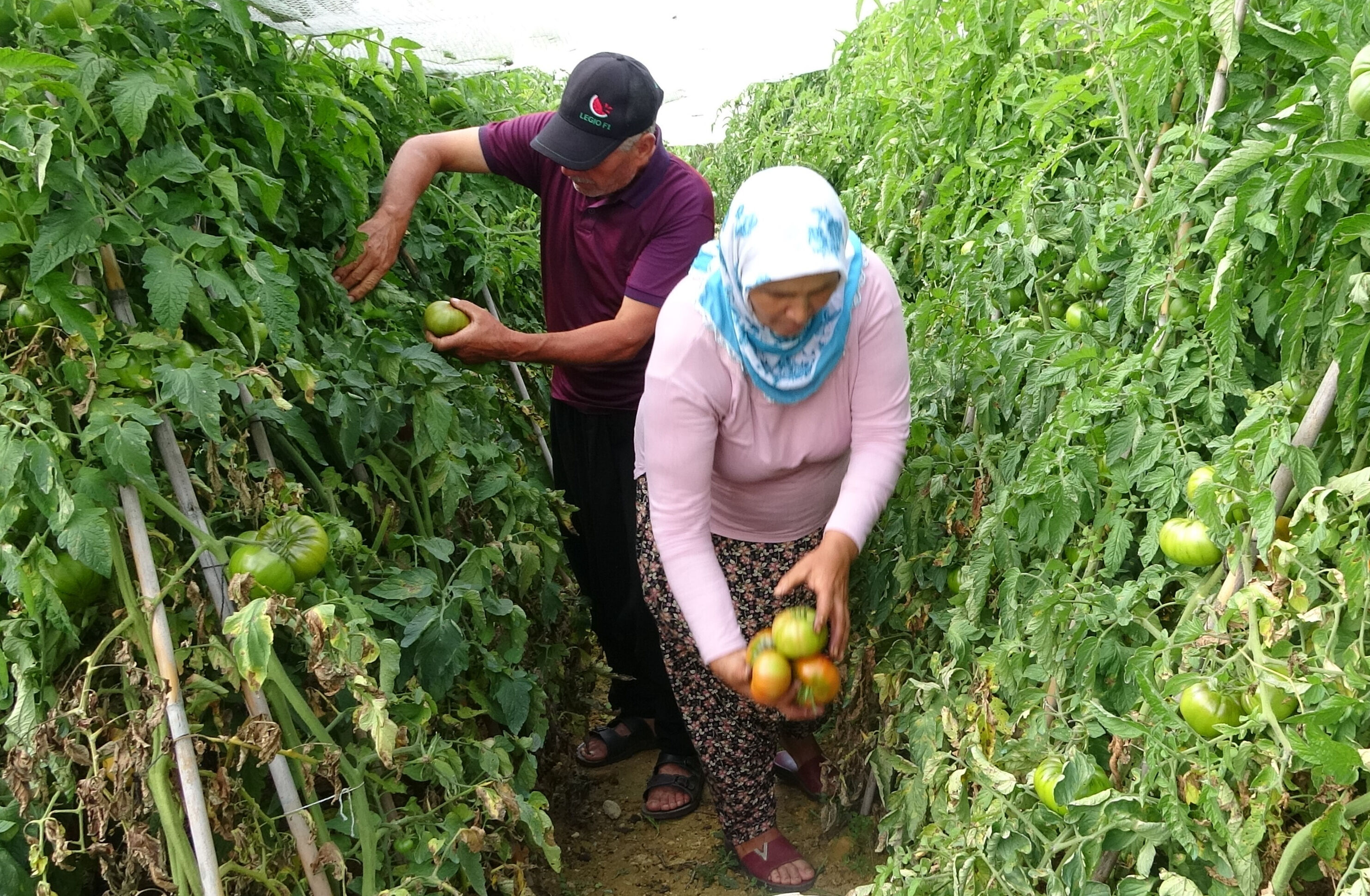 Bahçesine kurduğu sistemle elektrik ve su faturasını sıfırladı! Yılda 70 bin TL cebinde kalıyor Bahçesine kurduğu sistemle elektrik ve su faturasını sıfırladı! Yılda 70 bin TL cebinde kalıyor - 4. Resim
