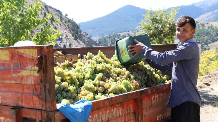Bu yıl verim yüksek! Meşe külünde saatlerce kaynatılıyor... Hem rengi hem lezzetti başka Bu yıl verim yüksek! Meşe külünde saatlerce kaynatılıyor... Hem rengi hem lezzetti başka - 4. Resim