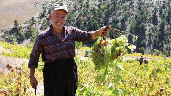 Bu yıl verim yüksek! Meşe külünde saatlerce kaynatılıyor... Hem rengi hem lezzetti başka Bu yıl verim yüksek! Meşe külünde saatlerce kaynatılıyor... Hem rengi hem lezzetti başka - 1. Resim