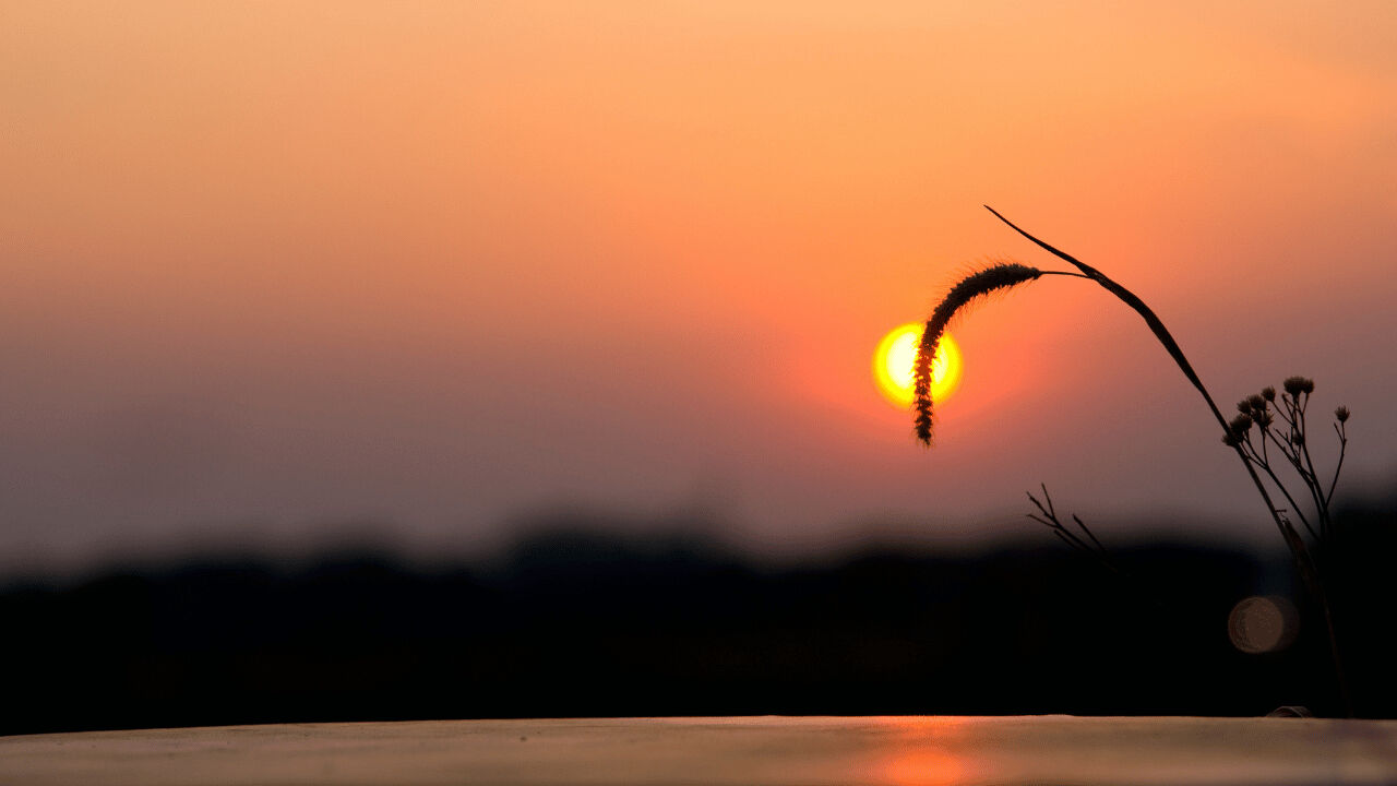 En yüksek hayat kalitesine sahip ülkeler belli oldu! İlk 10'da hangi ülkeler var? En yüksek hayat kalitesine sahip ülkeler belli oldu! İlk 10'da hangi ülkeler var? - 2. Resim