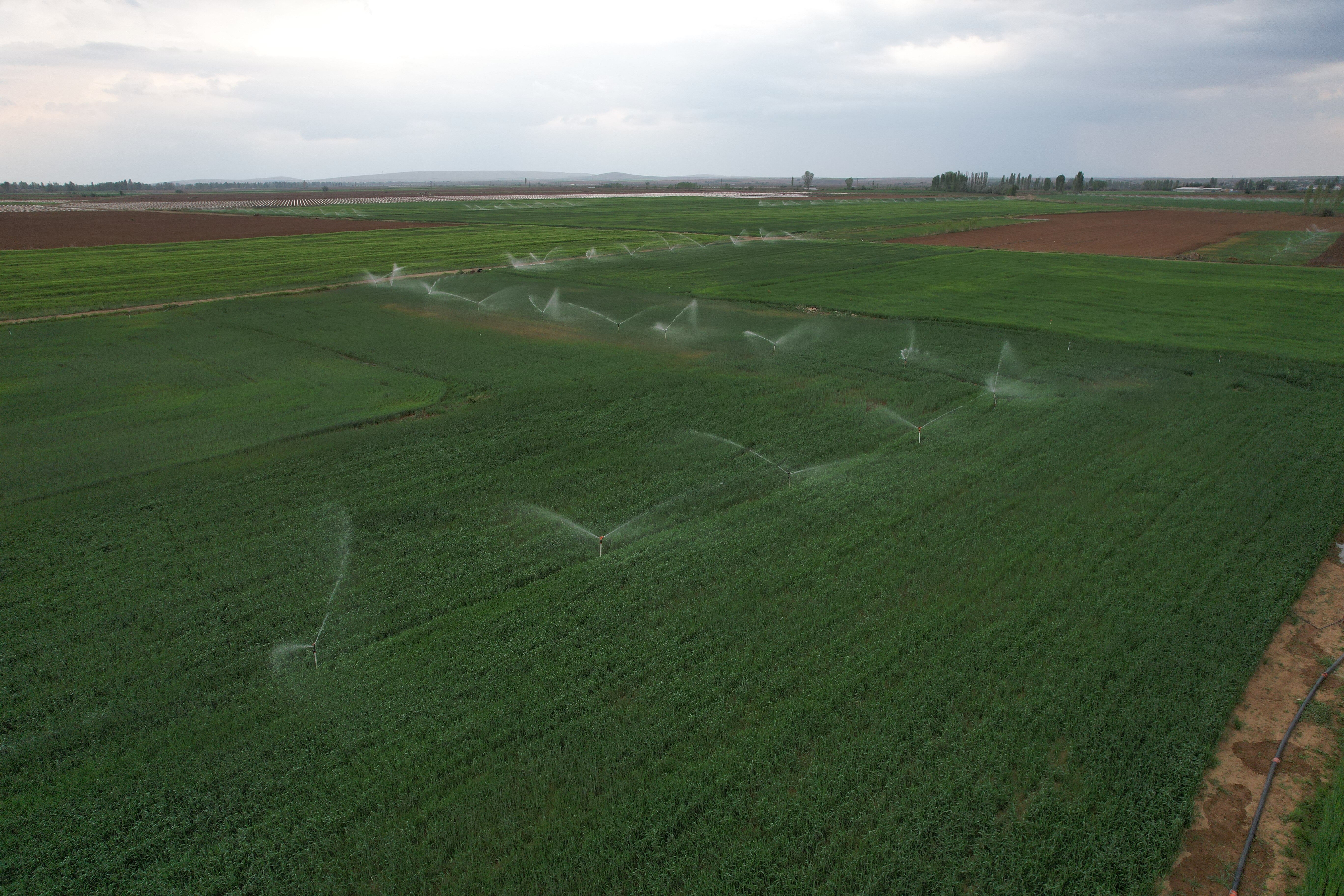 Obruk kabusu kent merkezine yaklaştı... Sıkışan pencereler, kapanmayan kapılar, yerden gelen sesler... - 2. Resim