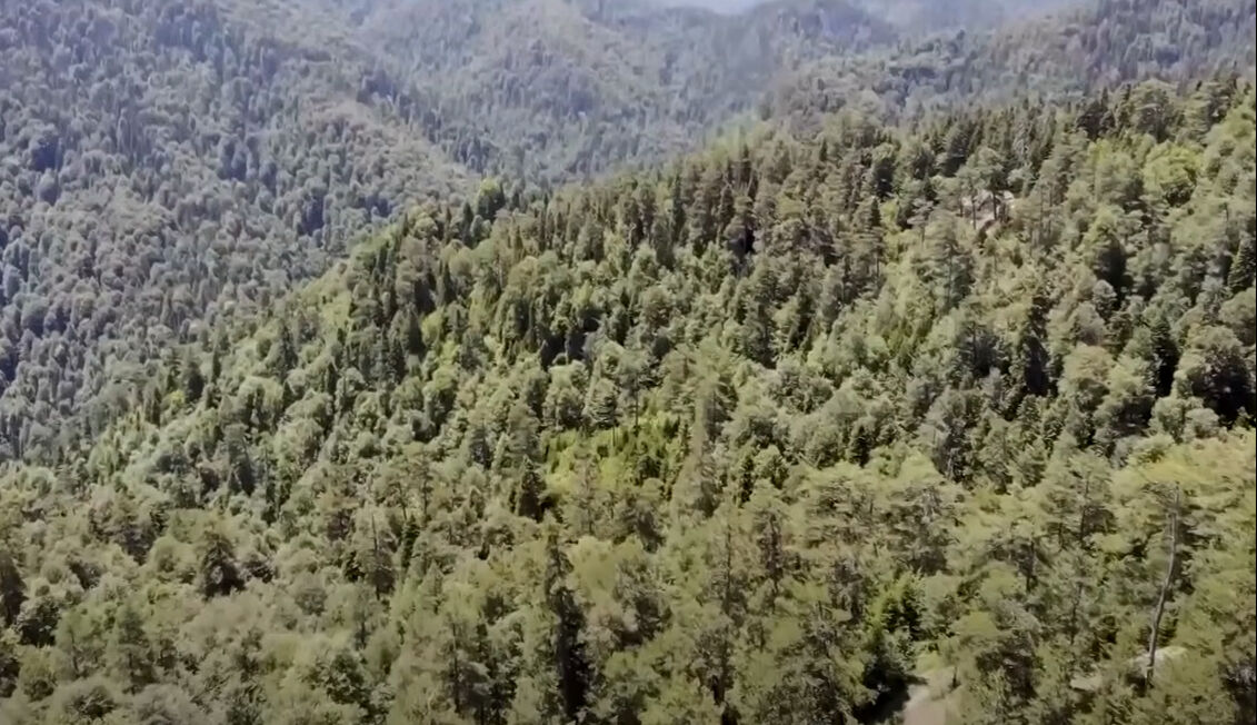 Popstar Firdevs yıllar sonra ortaya çıktı! Orman manzaralı evi gündem oldu - 3. Resim