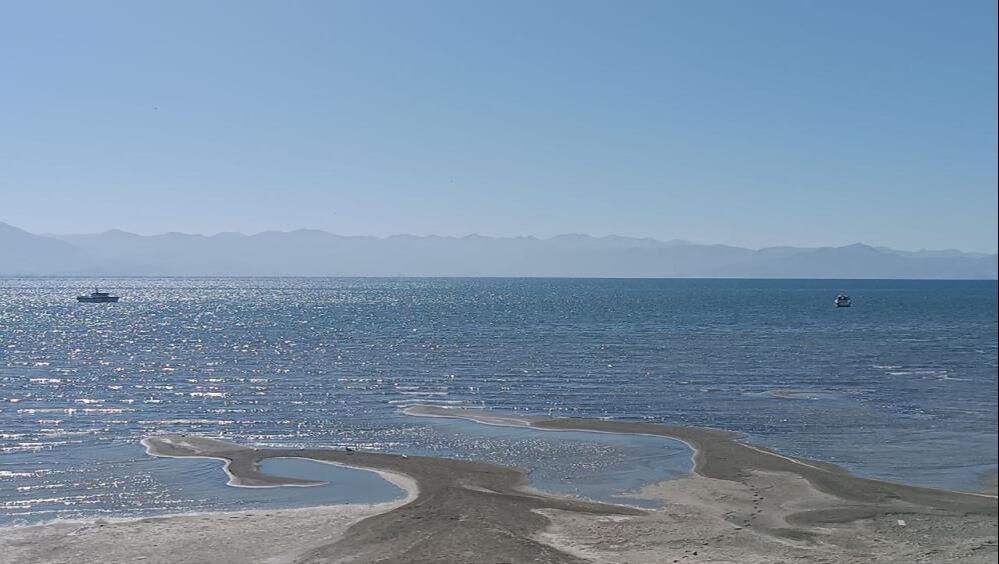 Rojin'den haber yok! Üniversiteye başladı ortadan kayboldu Rojin'den haber yok! Üniversiteye başladı ortadan kayboldu - 4. Resim