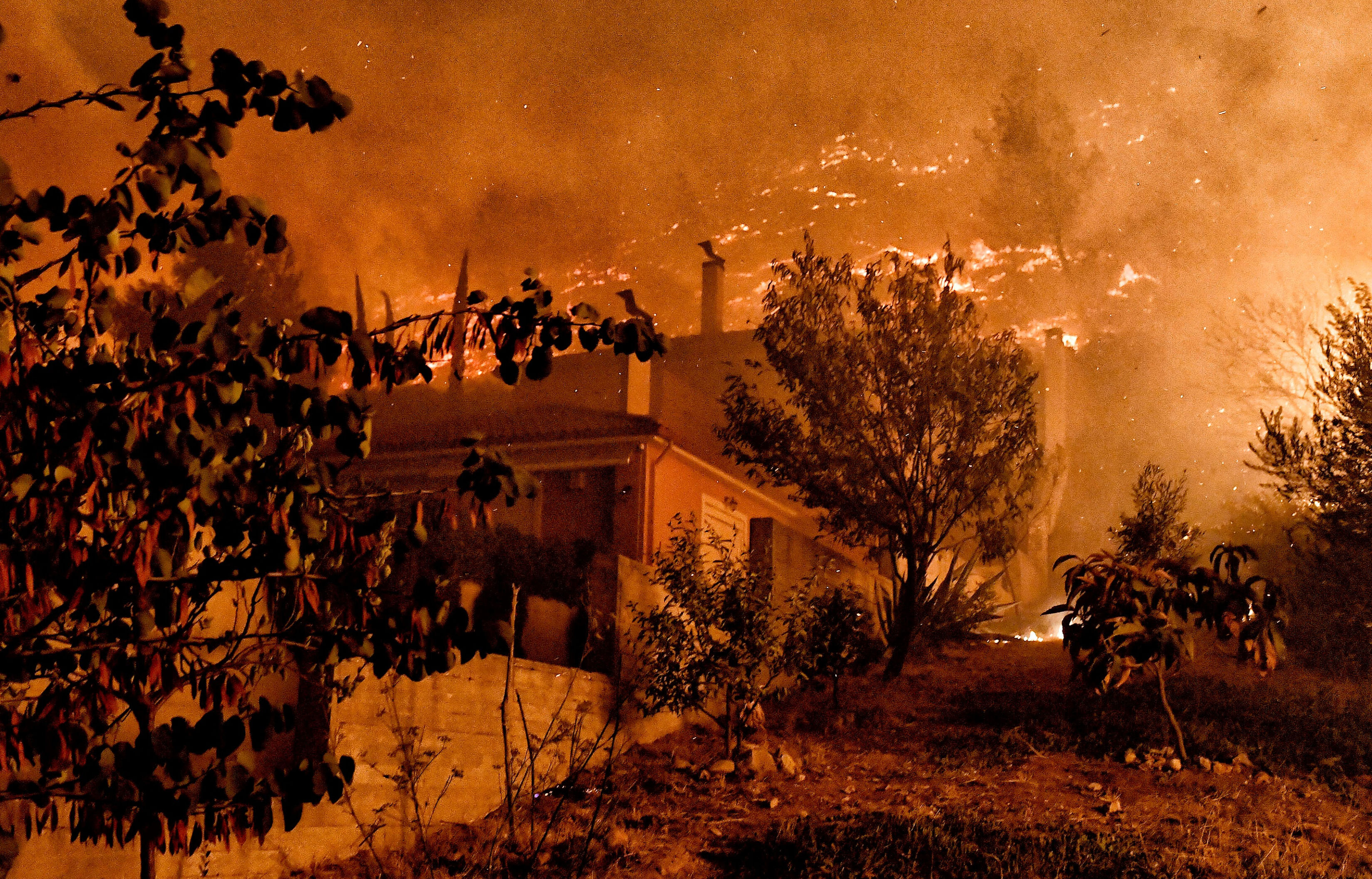 Yunanistan'da orman yangını! 2 kişi öldü, köyle tahliye ediliyor - 1. Resim