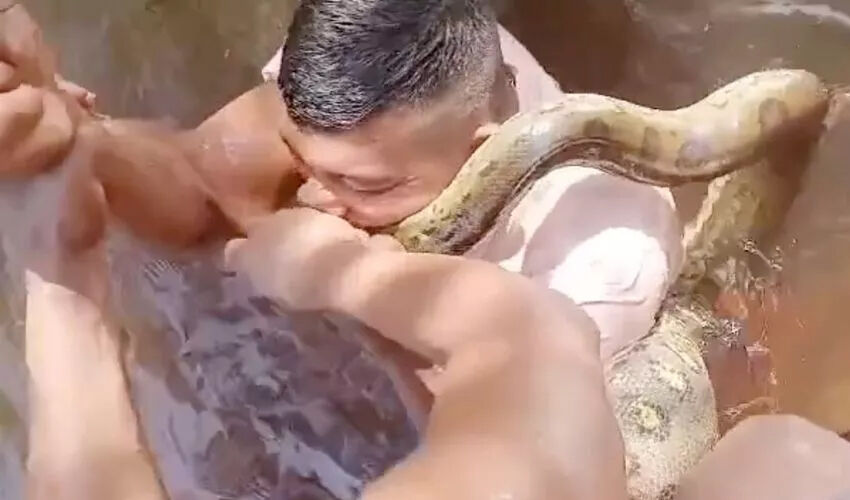 Görüntüler tüyler ürpertici! Canını kurtarmak için dev anakondayı ısırdı - 2. Resim