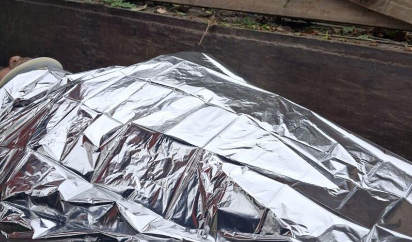 Yer: İstanbul! Mantar toplamaya gitti, kabusu yaşadı - 5. Resim