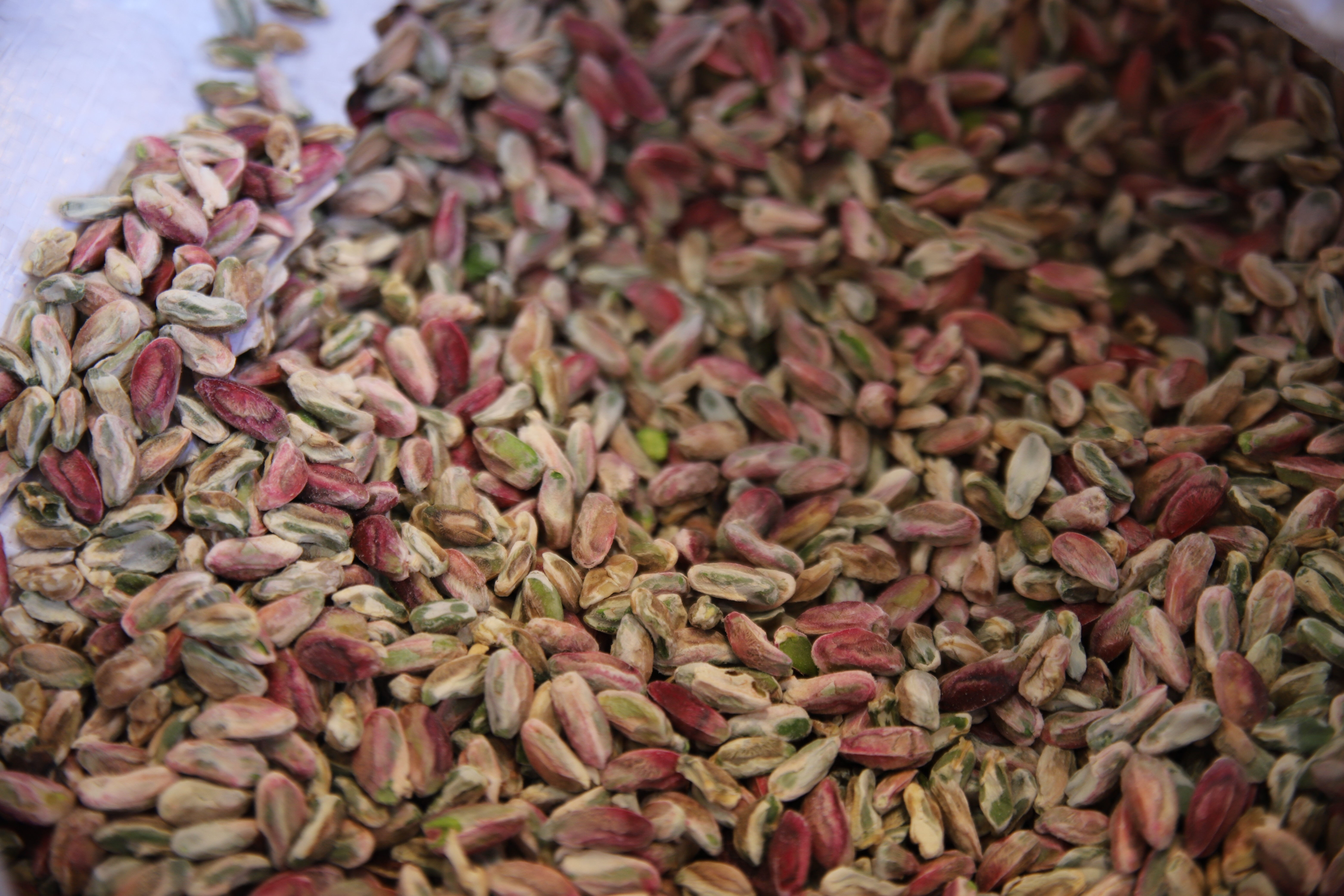 Antep fıstığı sevenlerin yüzünü güldüren haber! Fiyatlardaki düşüş vatandaşı bile şaşırttı Antep fıstığı sevenlerin yüzünü güldüren haber! Fiyatlardaki düşüş vatandaşı bile şaşırttı - 2. Resim