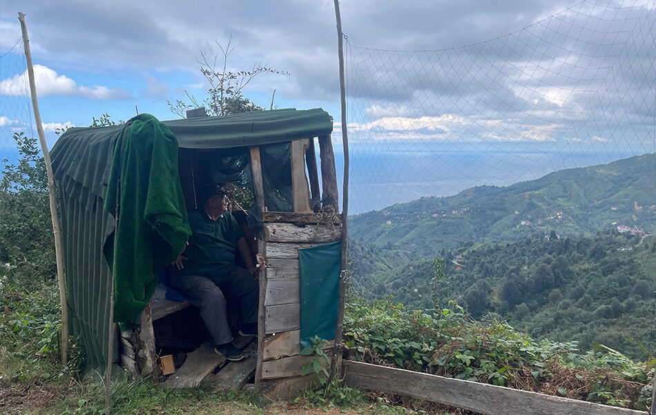 'Atmacacı'lık mesleği babadan oğula Rize'de devam ediyor! - 2. Resim