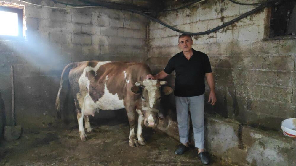 Ahırdan gelen sese koştu, hayatının şokunu yaşadı! '25 yıldır böyle bir şey görmedim' - 1. Resim