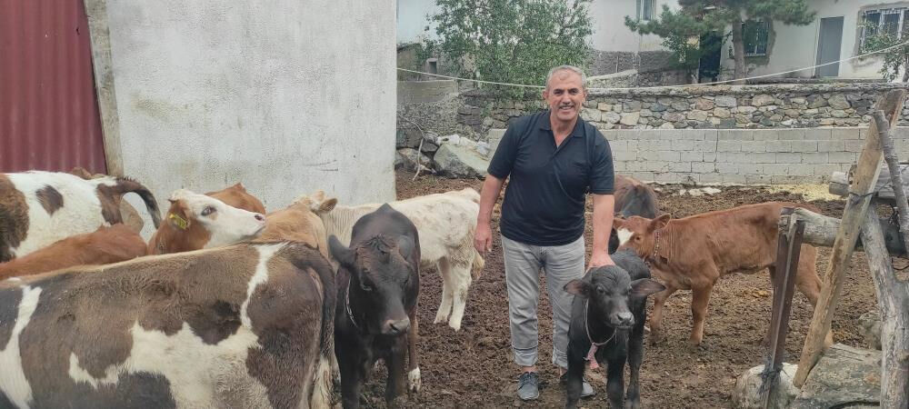 Ahırdan gelen sese koştu, hayatının şokunu yaşadı! '25 yıldır böyle bir şey görmedim' - 6. Resim