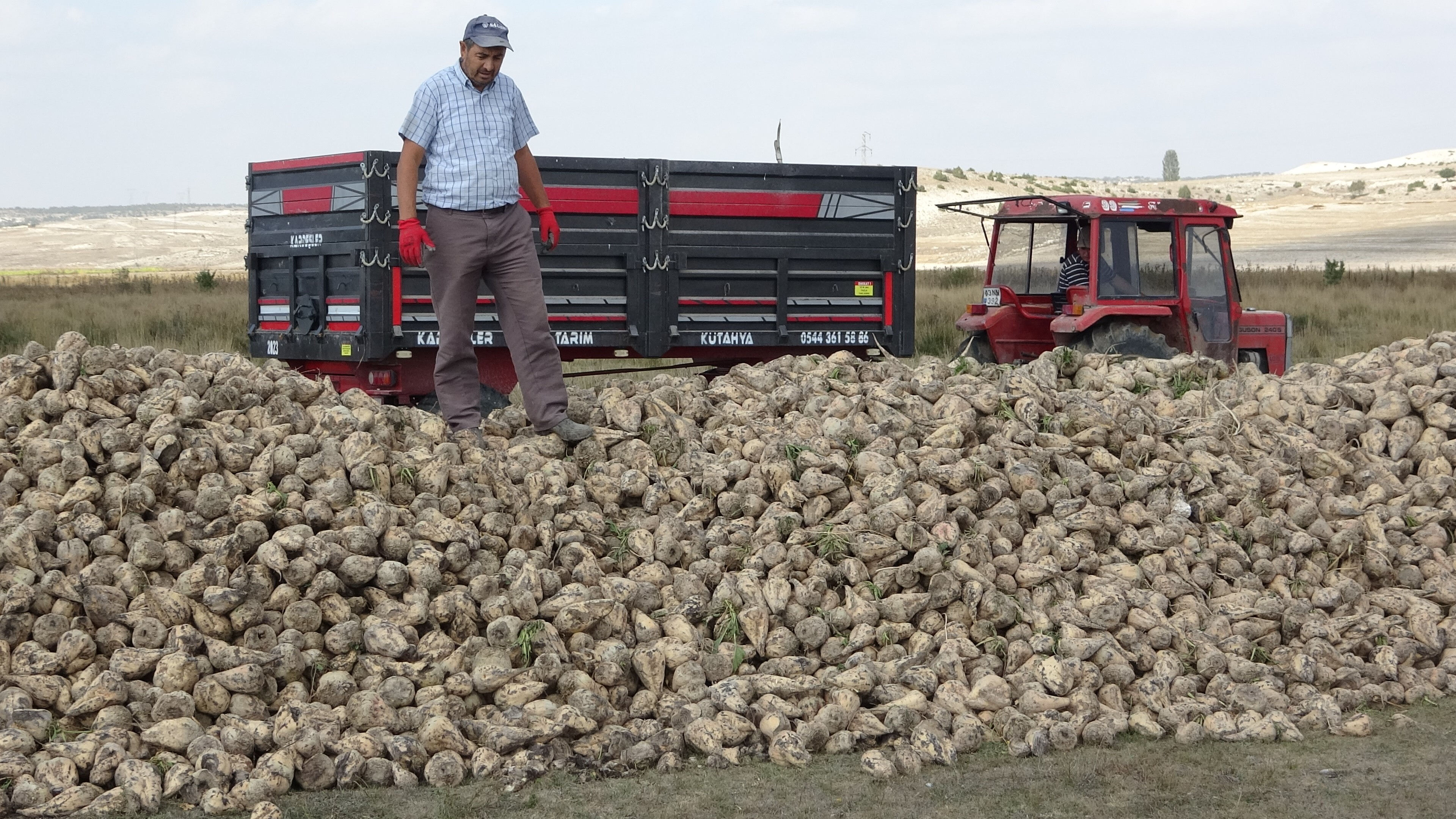 Pancarda hasat başladı! Üretici bu yıl verimden memnun Pancarda hasat başladı! Üretici bu yıl verimden memnun - 2. Resim