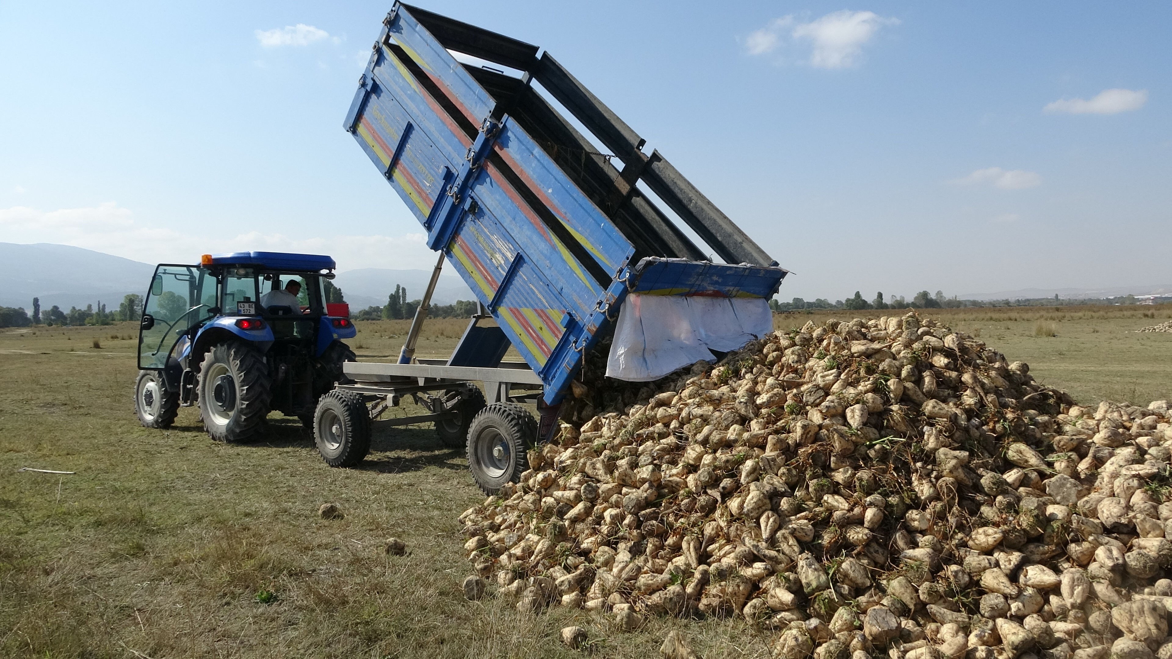 Pancarda hasat başladı! Üretici bu yıl verimden memnun Pancarda hasat başladı! Üretici bu yıl verimden memnun - 3. Resim