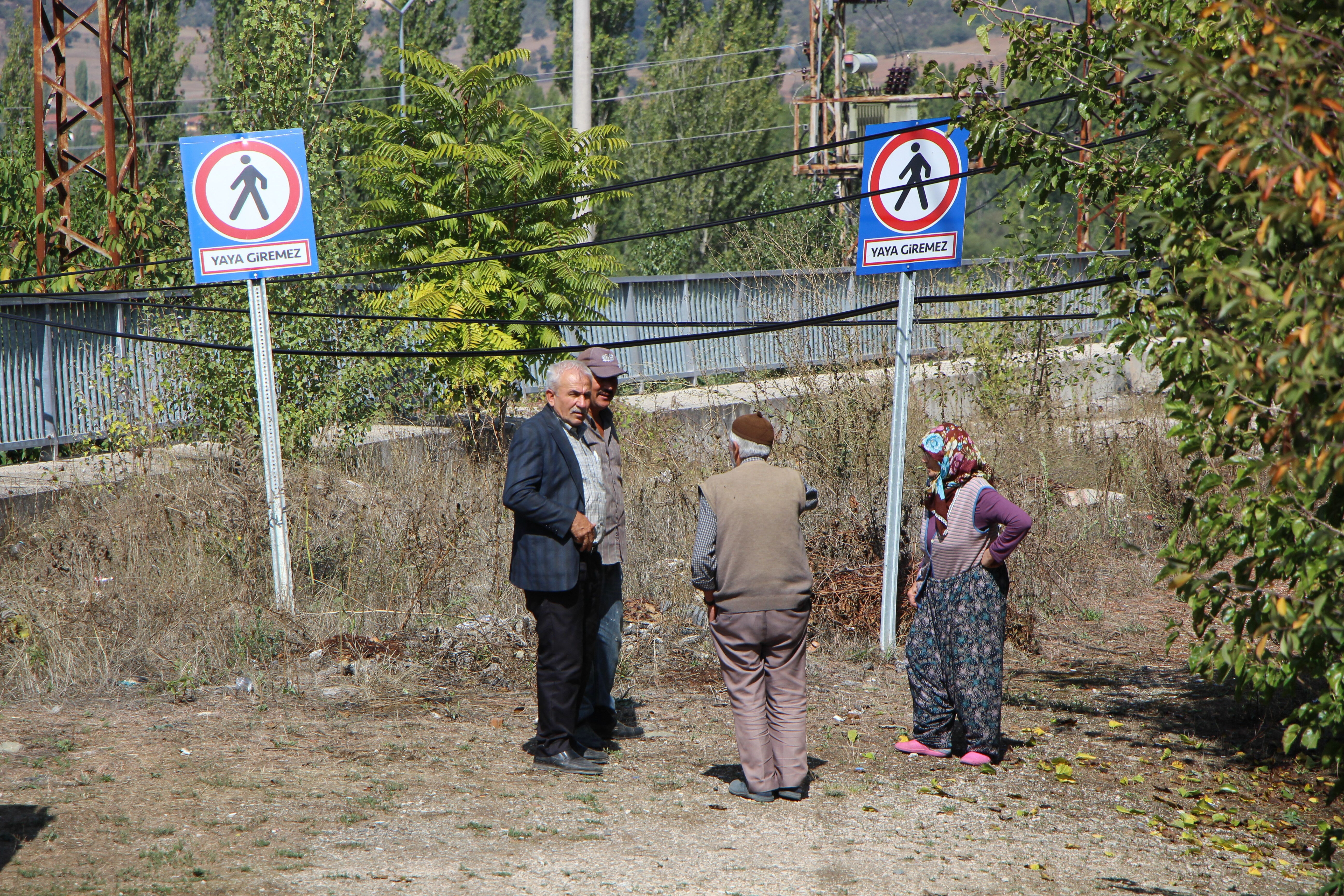 16 yıldır tamamlanmayınca üstünde ağaç bitti... Amasya'da ilginç manzara 16 yıldır tamamlanmayınca üstünde ağaç bitti... Amasya'da ilginç manzara - 2. Resim