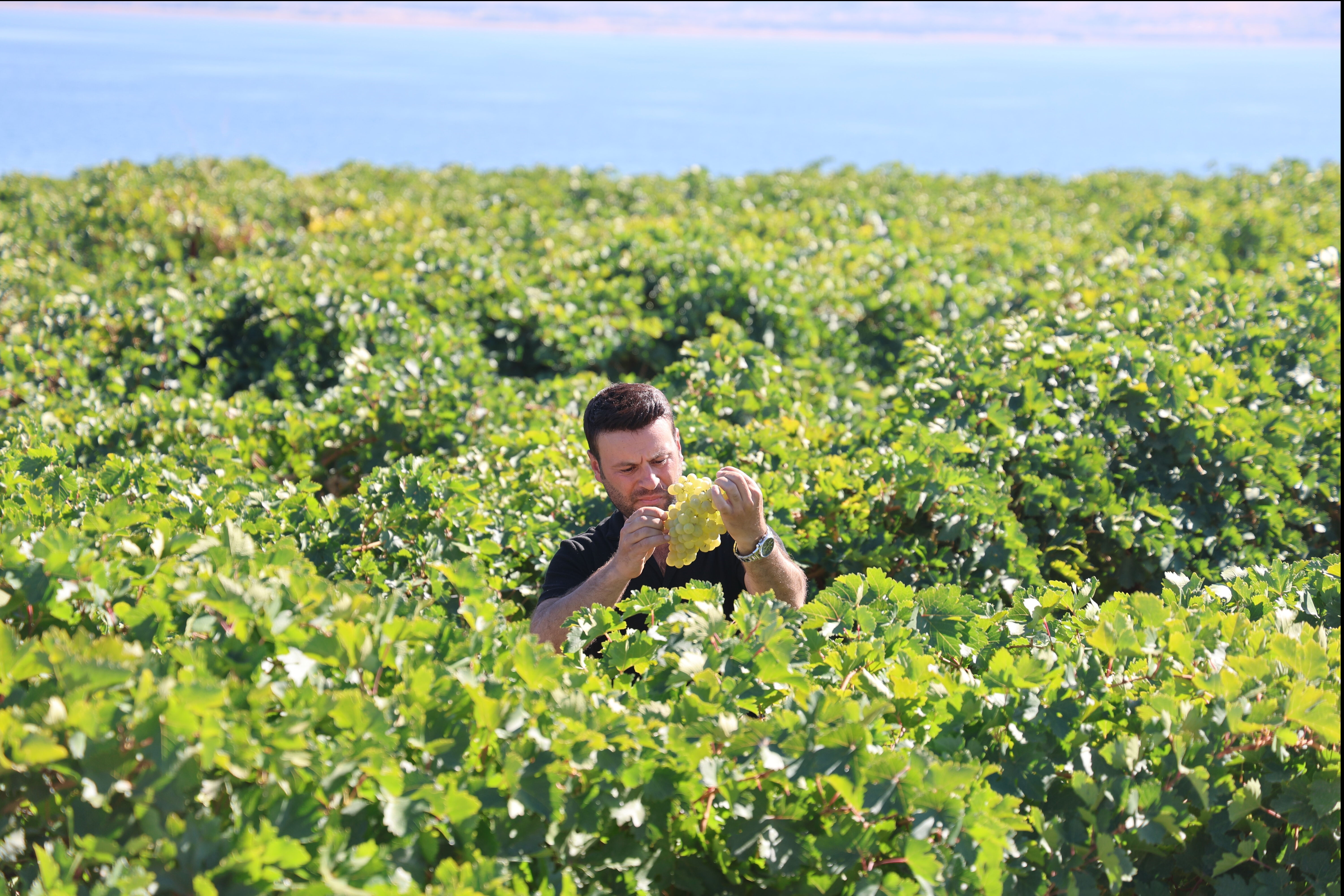 Mühendisliği bırakıp bu işe girdi! Haftada 2-3 gün çalışarak maaşının 5 katını kazanıyor - 1. Resim