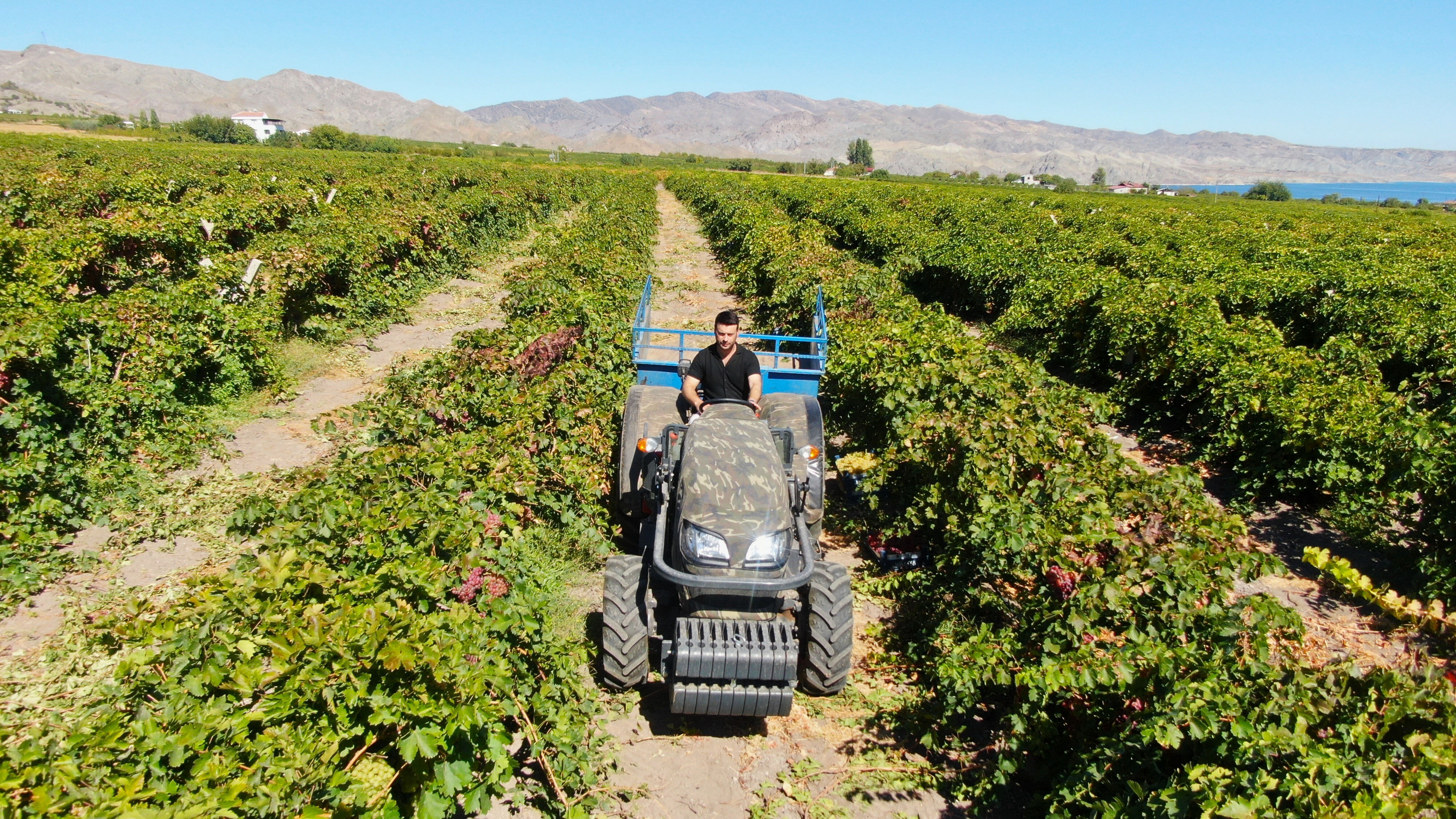 Mühendisliği bırakıp bu işe girdi! Haftada 2-3 gün çalışarak maaşının 5 katını kazanıyor - 3. Resim