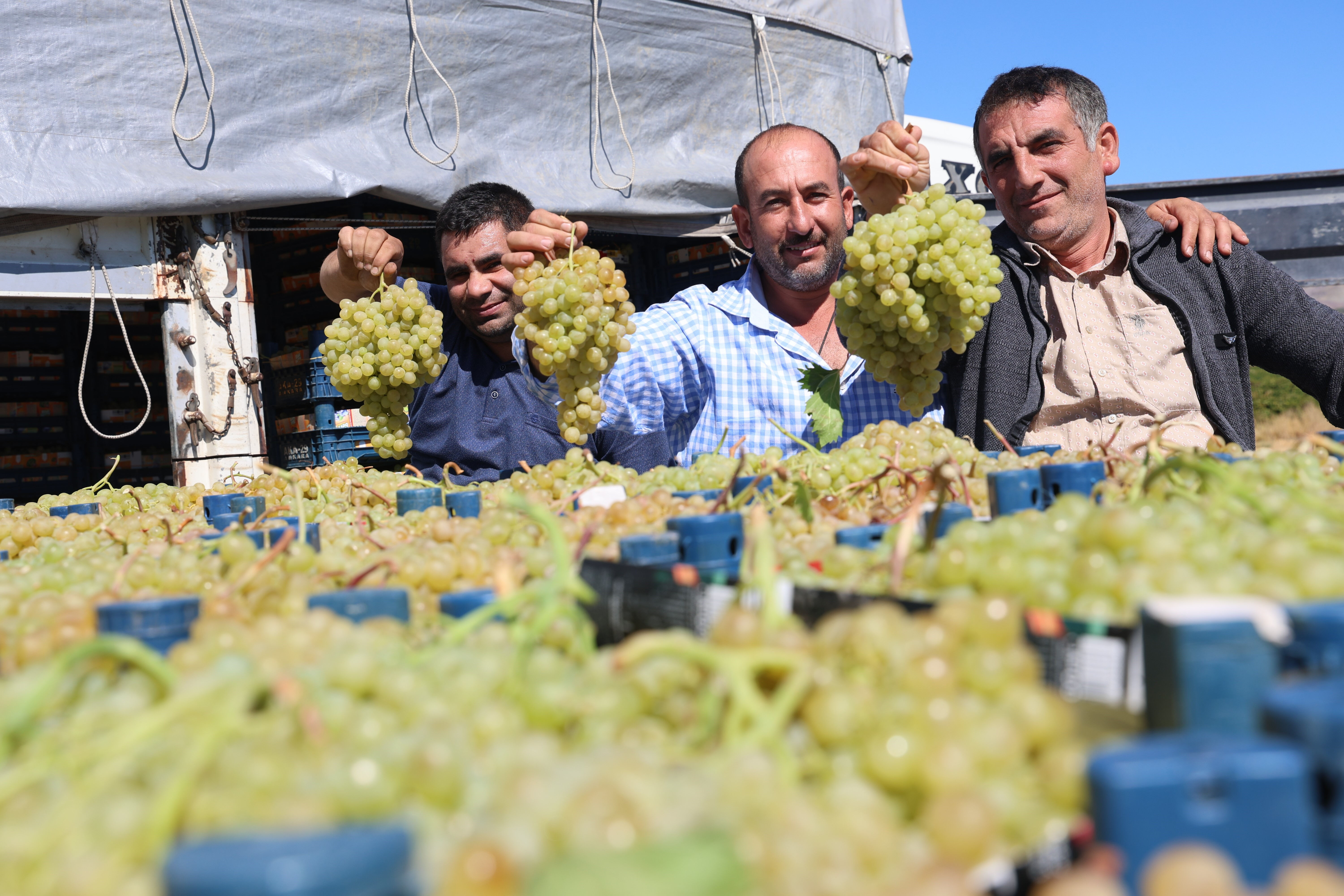 Mühendisliği bırakıp bu işe girdi! Haftada 2-3 gün çalışarak maaşının 5 katını kazanıyor - 4. Resim