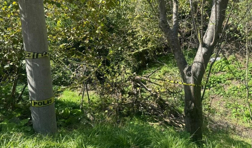 Zonguldak’ta korkunç olay! Domuz sandı, komşusunu öldürdü - 2. Resim