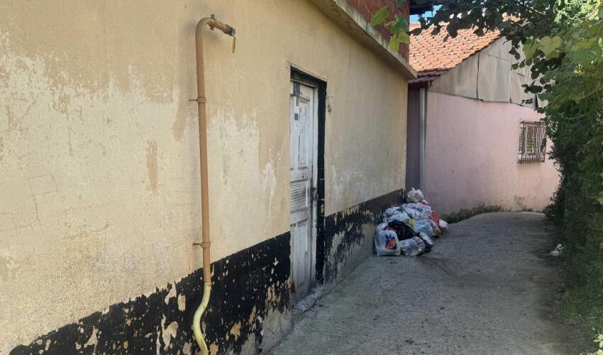 Zonguldak’ta korkunç olay! Domuz sandı, komşusunu öldürdü - 1. Resim