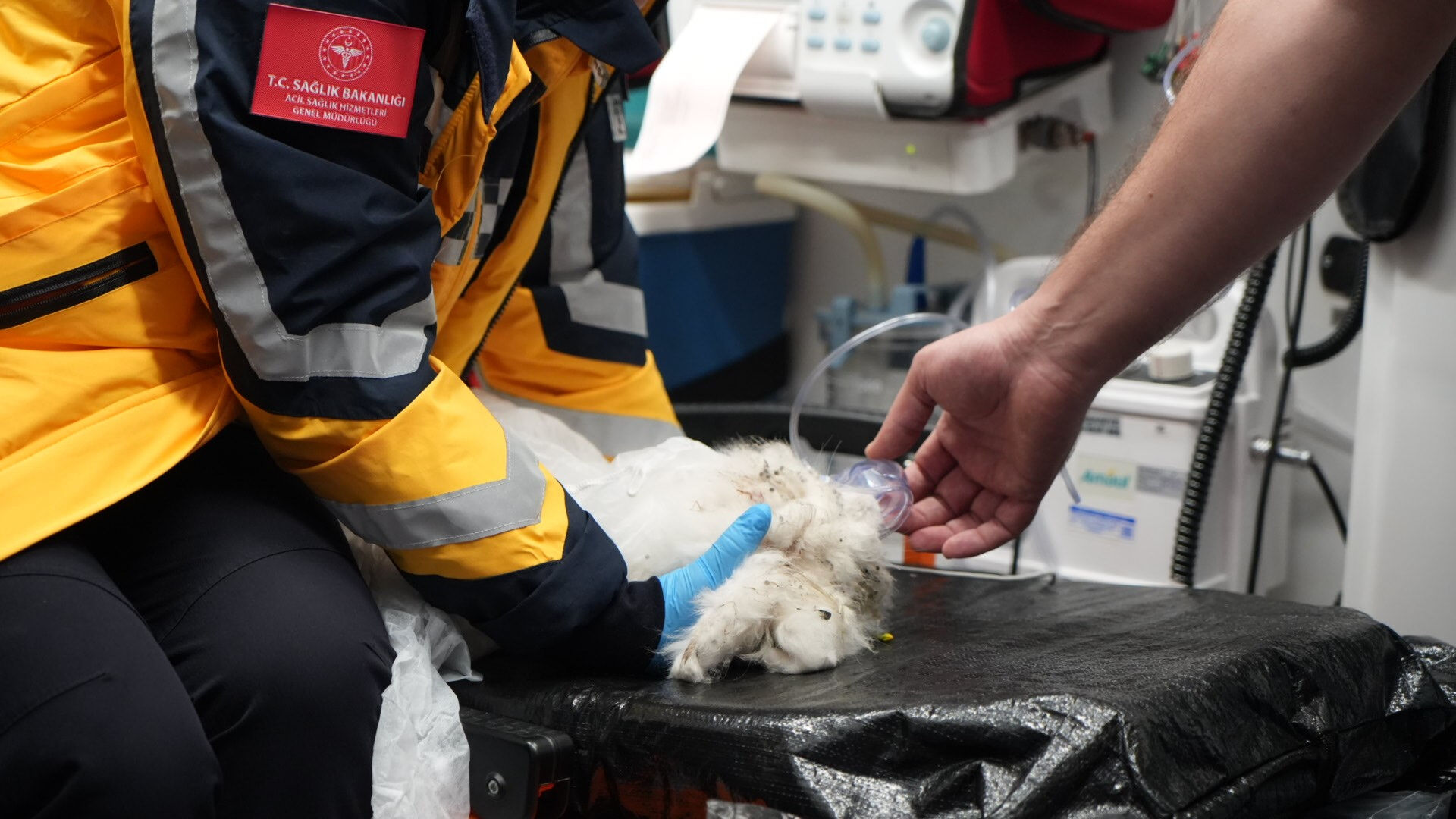 Bursa'da yürekleri ısıtan müdahale... Yangının ortasında bulundu - 2. Resim