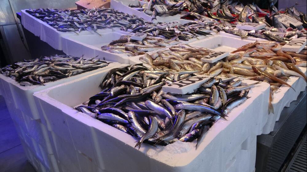 Palamut tezgahların, hamsi ihracatın zirvesine yerleşti Palamut tezgahların, hamsi ihracatın zirvesine yerleşti - 5. Resim