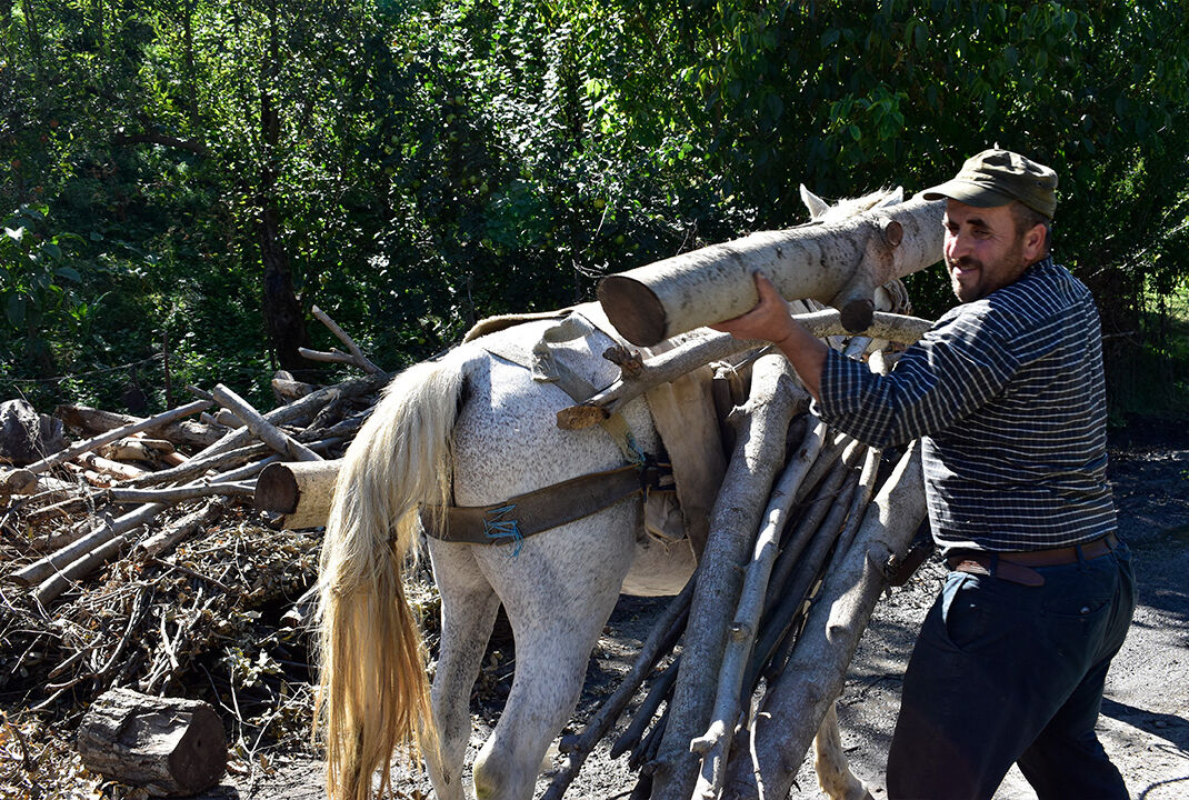 100 litre üzüm suyundan 40 litre çıkıyor! Asırlardır geleneksel yöntemlerle Bitlis pekmezi yapıyorlar - 2. Resim