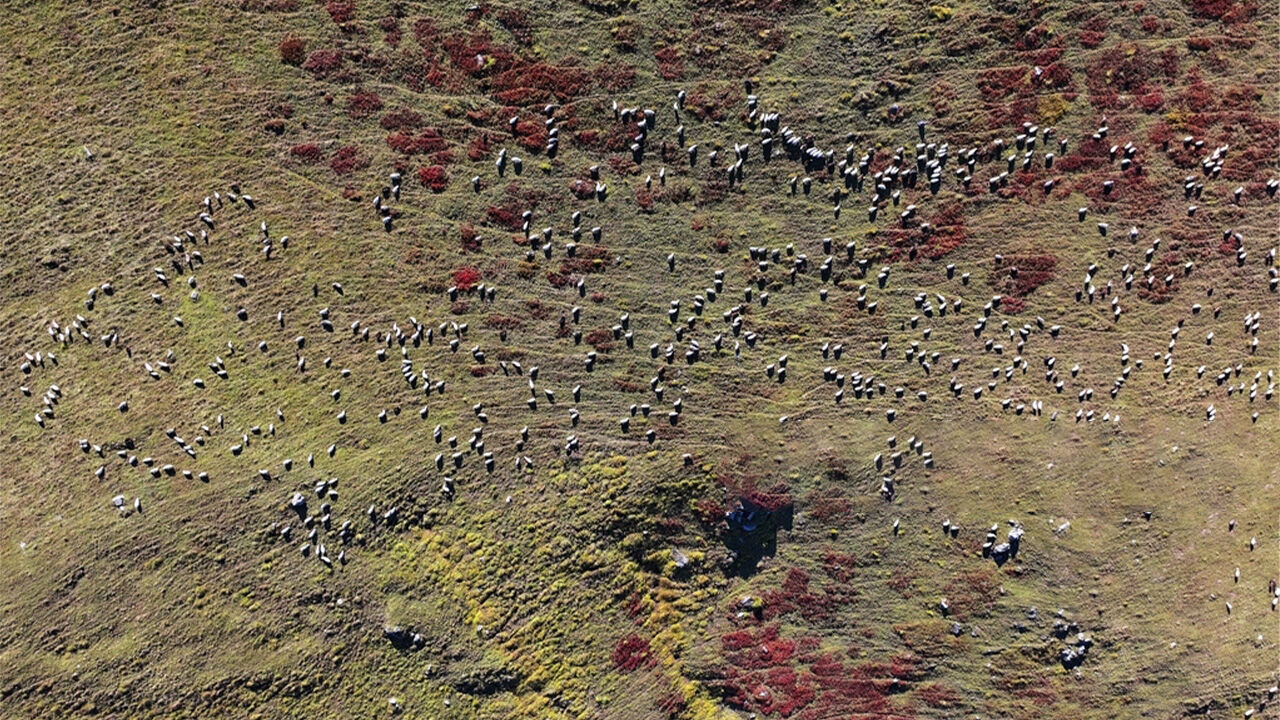 Buraya zarar vermenin cezası 3 yıl hapis! Doğal sit alanı Ağaçbaşı Turbalığı asırlardır korunuyor - 1. Resim