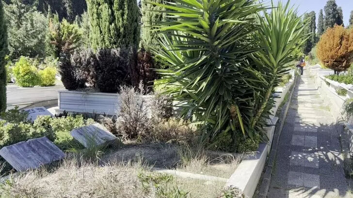 Cem Garipoğlu'nun mezarı adli tıpçıları bile şaşkına çevirdi! Turgut Özal detayı dikkat çekti Cem Garipoğlu'nun mezarı adli tıpçıları bile şaşkına çevirdi! Turgut Özal detayı dikkat çekti - 6. Resim