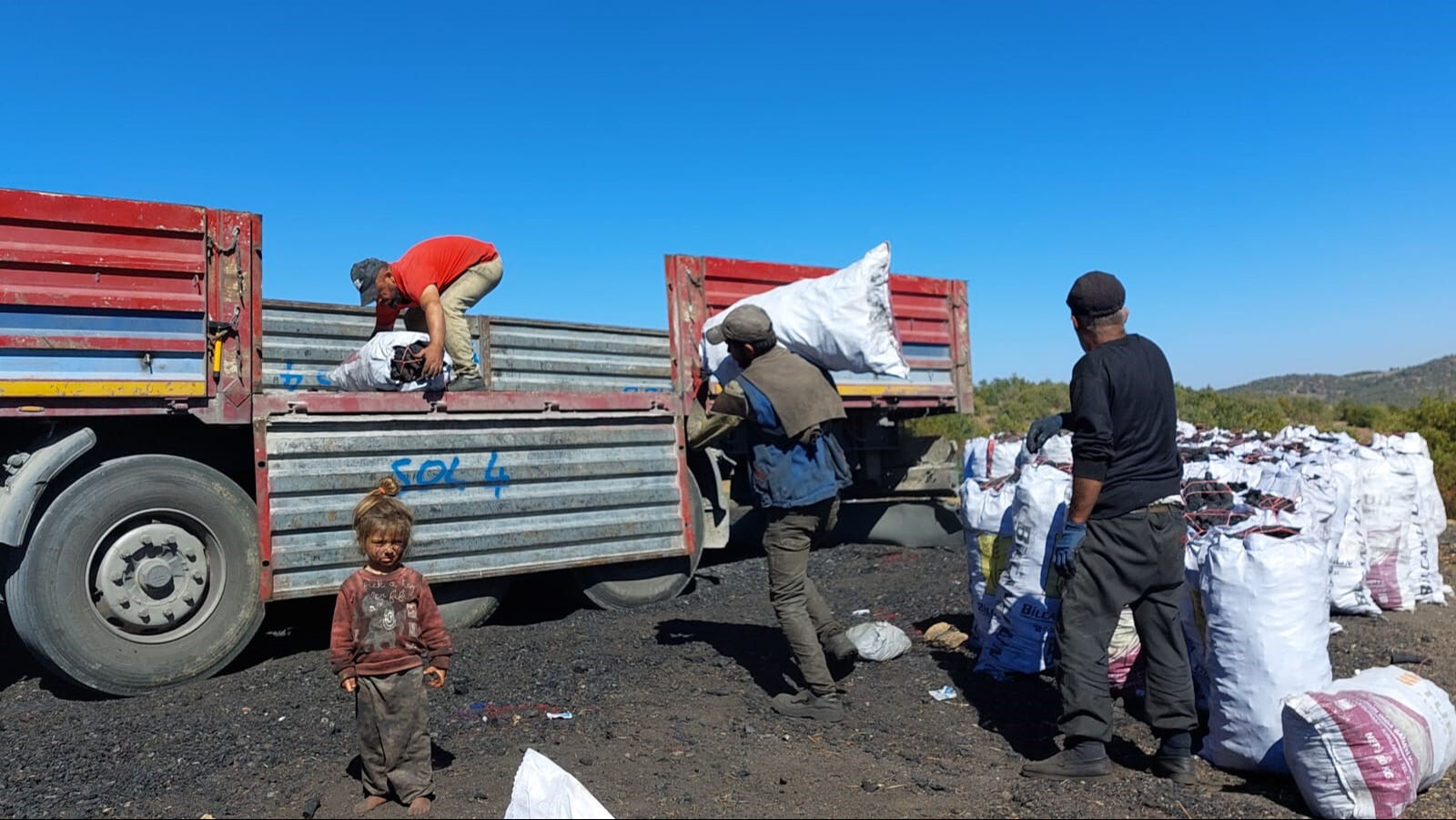 Kilogramı sadece 23 lira! Bu iş için il değiştiriyorlar, gece gündüz demeden nöbet tutuyorlar Kilogramı sadece 23 lira! Bu iş için il değiştiriyorlar, gece gündüz demeden nöbet tutuyorlar - 3. Resim