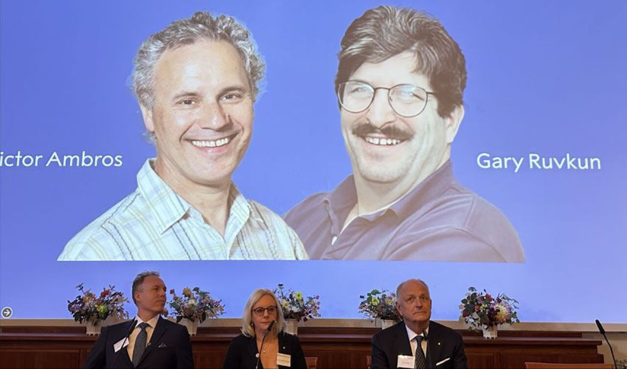 Nobel Tıp Ödülü'nü kazanan Gary Ruvkun ve Victor Ambros MIT mezunu Nobel Tıp Ödülü'nü kazanan Gary Ruvkun ve Victor Ambros MIT mezunu - 1. Resim
