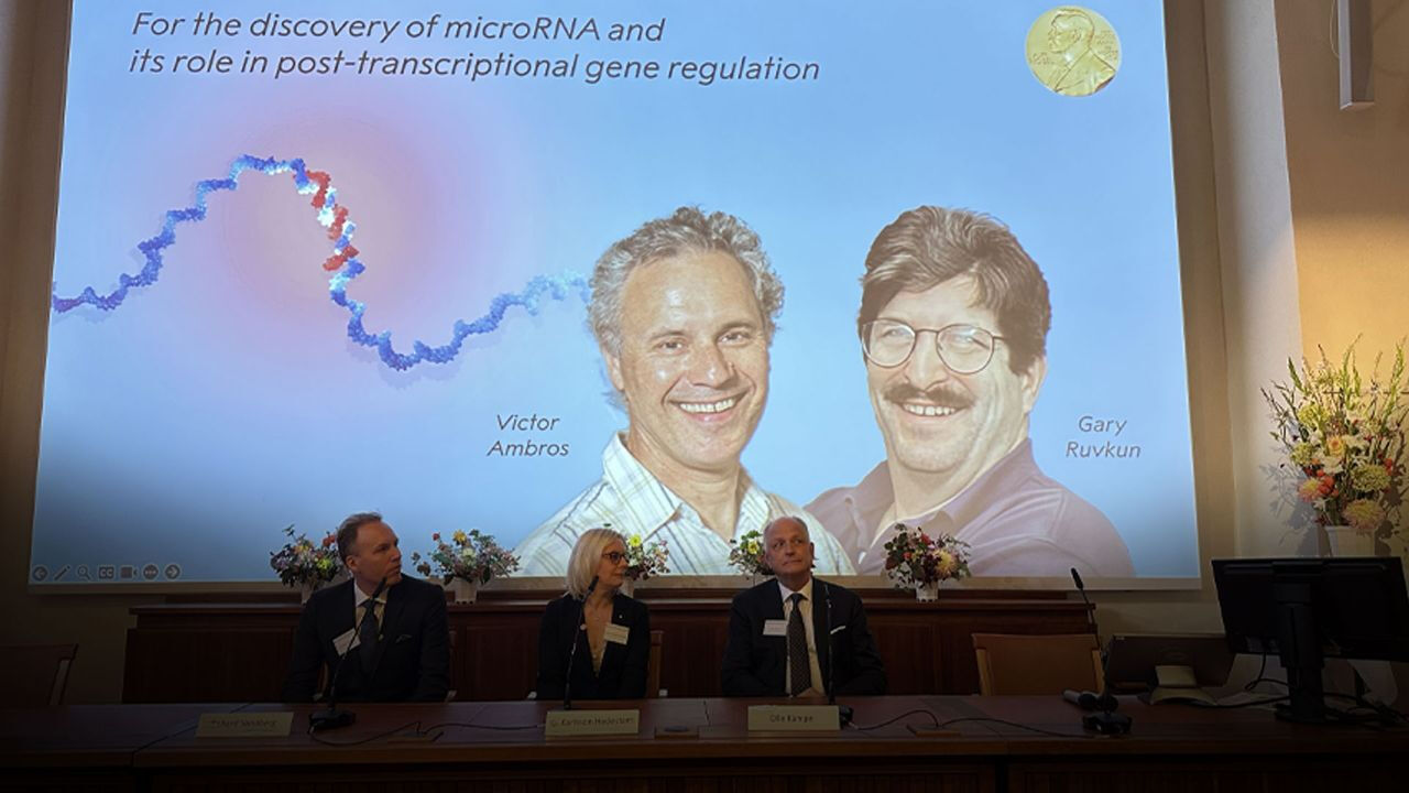 Nobel Tıp Ödülü'nü kazanan Gary Ruvkun ve Victor Ambros MIT mezunu Nobel Tıp Ödülü'nü kazanan Gary Ruvkun ve Victor Ambros MIT mezunu - 2. Resim