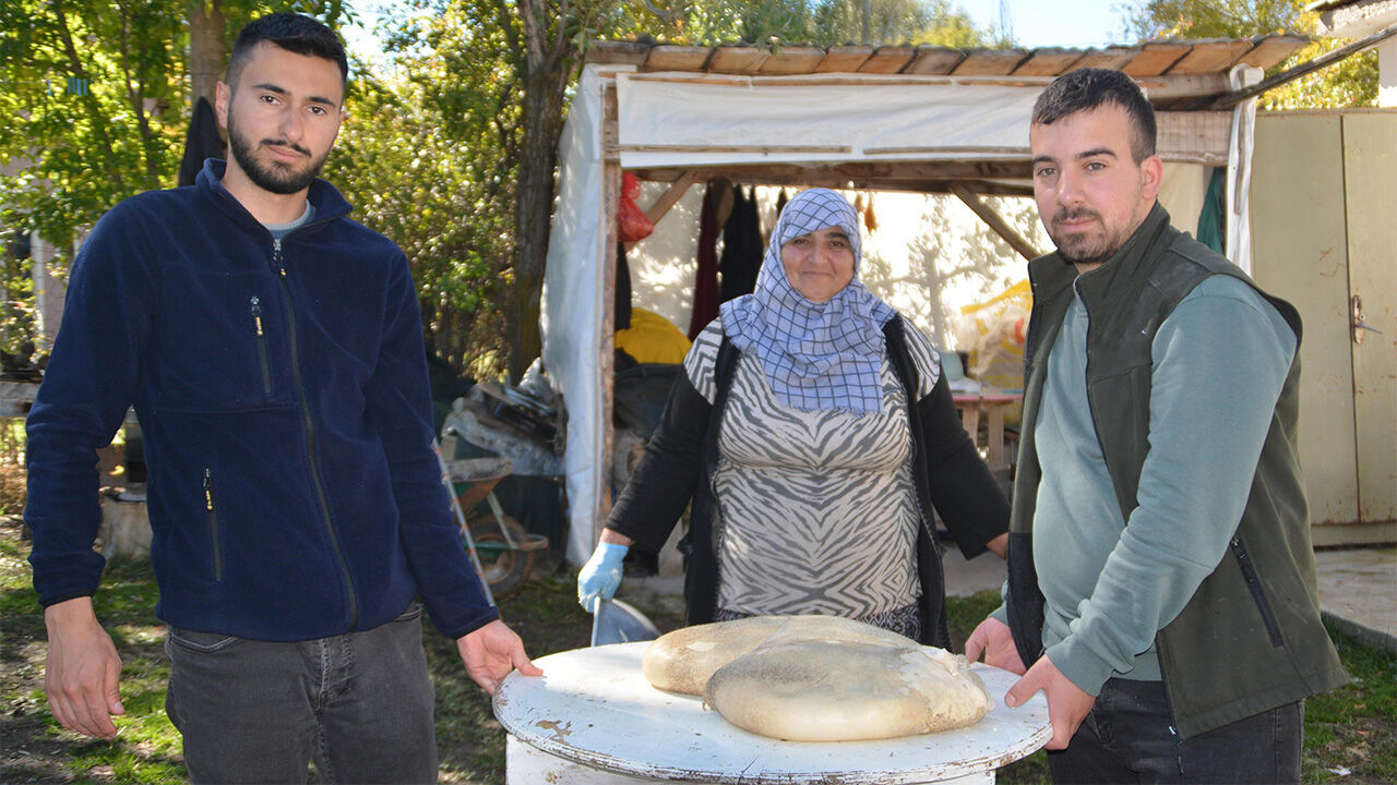 Sarıkamış'ta üretilen 'karın kaymağı peyniri' işkembeye dolduruluyor! - 2. Resim