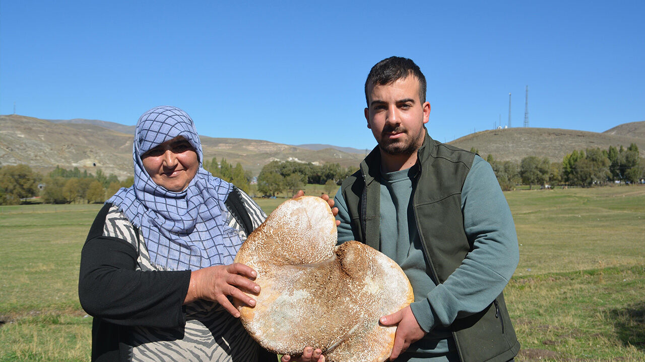 Sarıkamış'ta üretilen 'karın kaymağı peyniri' işkembeye dolduruluyor! - 4. Resim