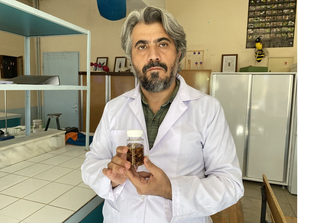 Konya’da bir profesör keşfettiği akrep türüne eşinin ismini verdi Konya’da bir profesör keşfettiği akrep türüne eşinin ismini verdi - 1. Resim