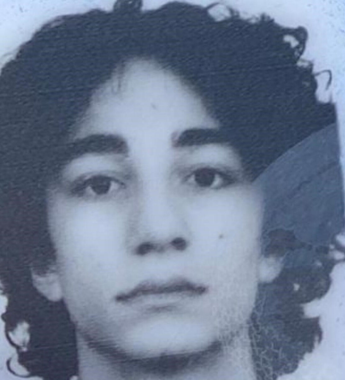 Semih Çelik'in annesi Hafize Çelik'le son konuşması! 