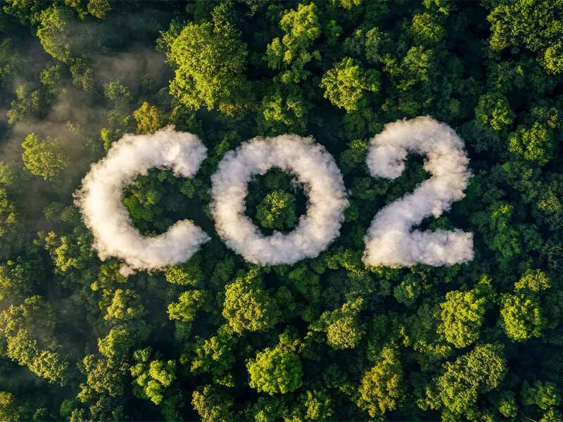 Karbon ayak izi nedir? Nasıl azaltılır? - 4. Resim