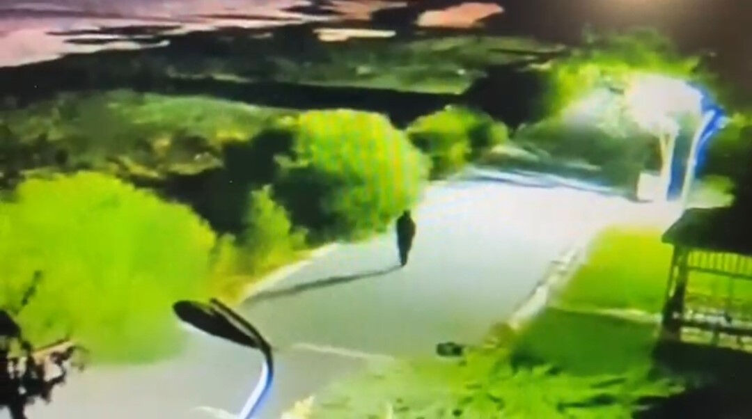 Kayıp genç kız Rojin Kabaiş'in son görüntüleri ortaya çıktı Kayıp genç kız Rojin Kabaiş'in son görüntüleri ortaya çıktı - 1. Resim