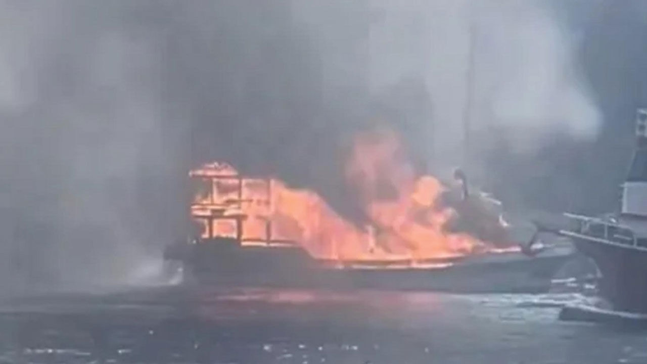 Rusya, Ukrayna'ya silah taşıyan gemiyi Odessa'daki limanda vurdu - 3. Resim